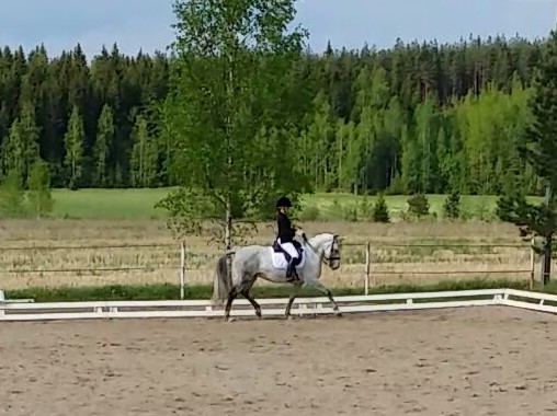 13217347_1107074119355734_7431869582441454049_o